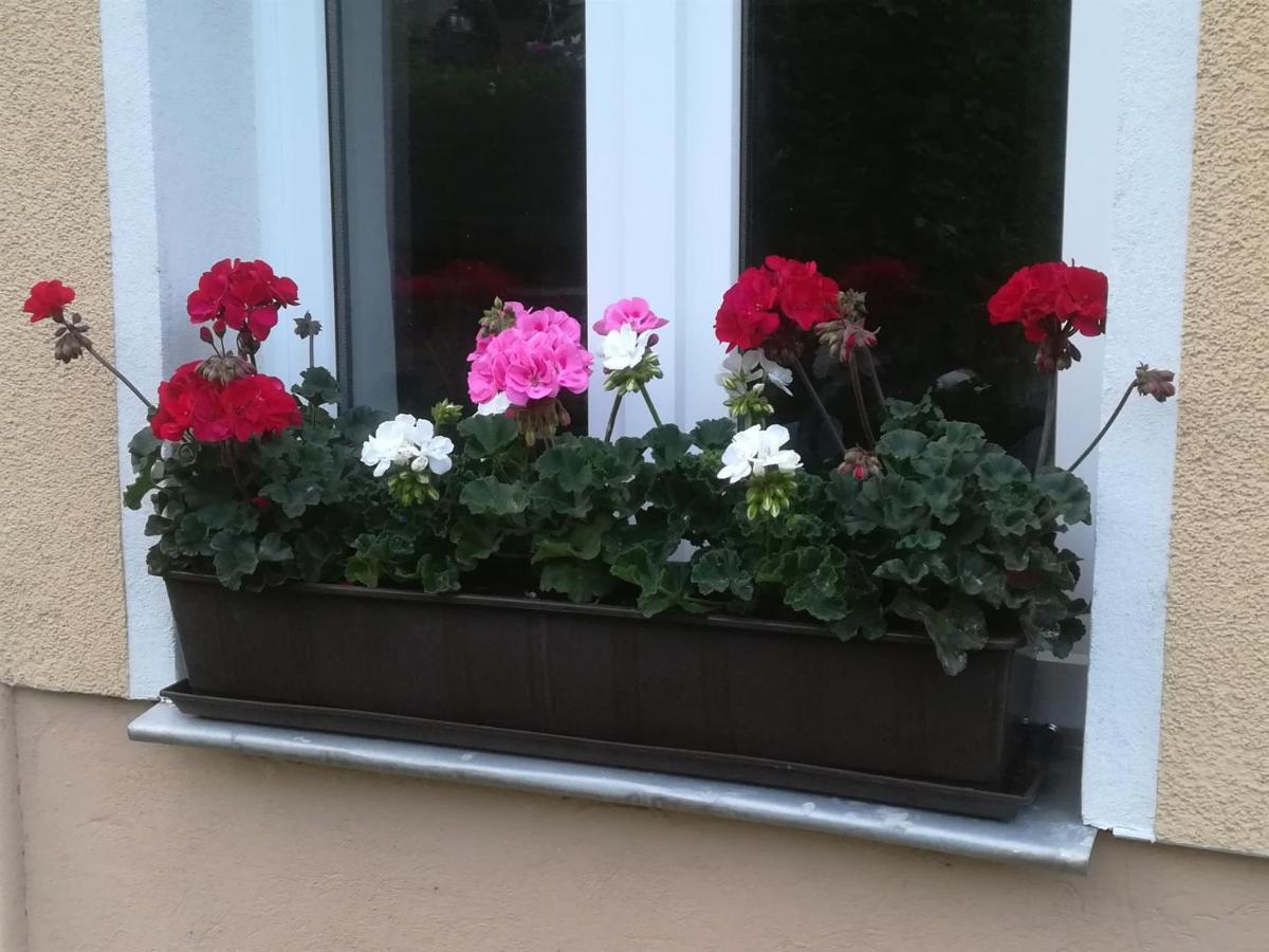 Ferienwohnung Rauscher Altenberg  Dış mekan fotoğraf