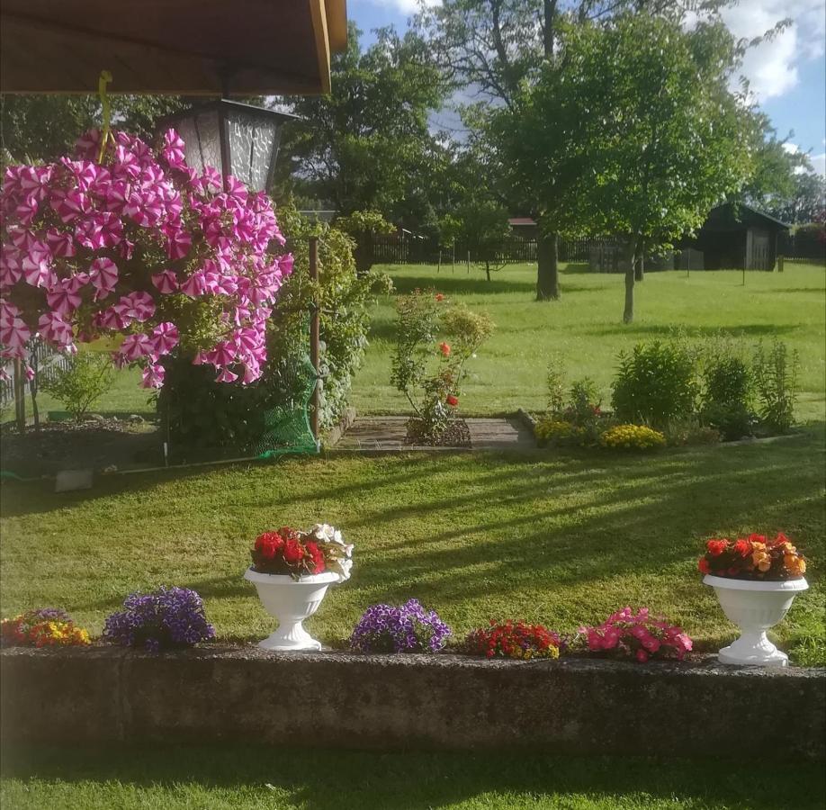 Ferienwohnung Rauscher Altenberg  Dış mekan fotoğraf