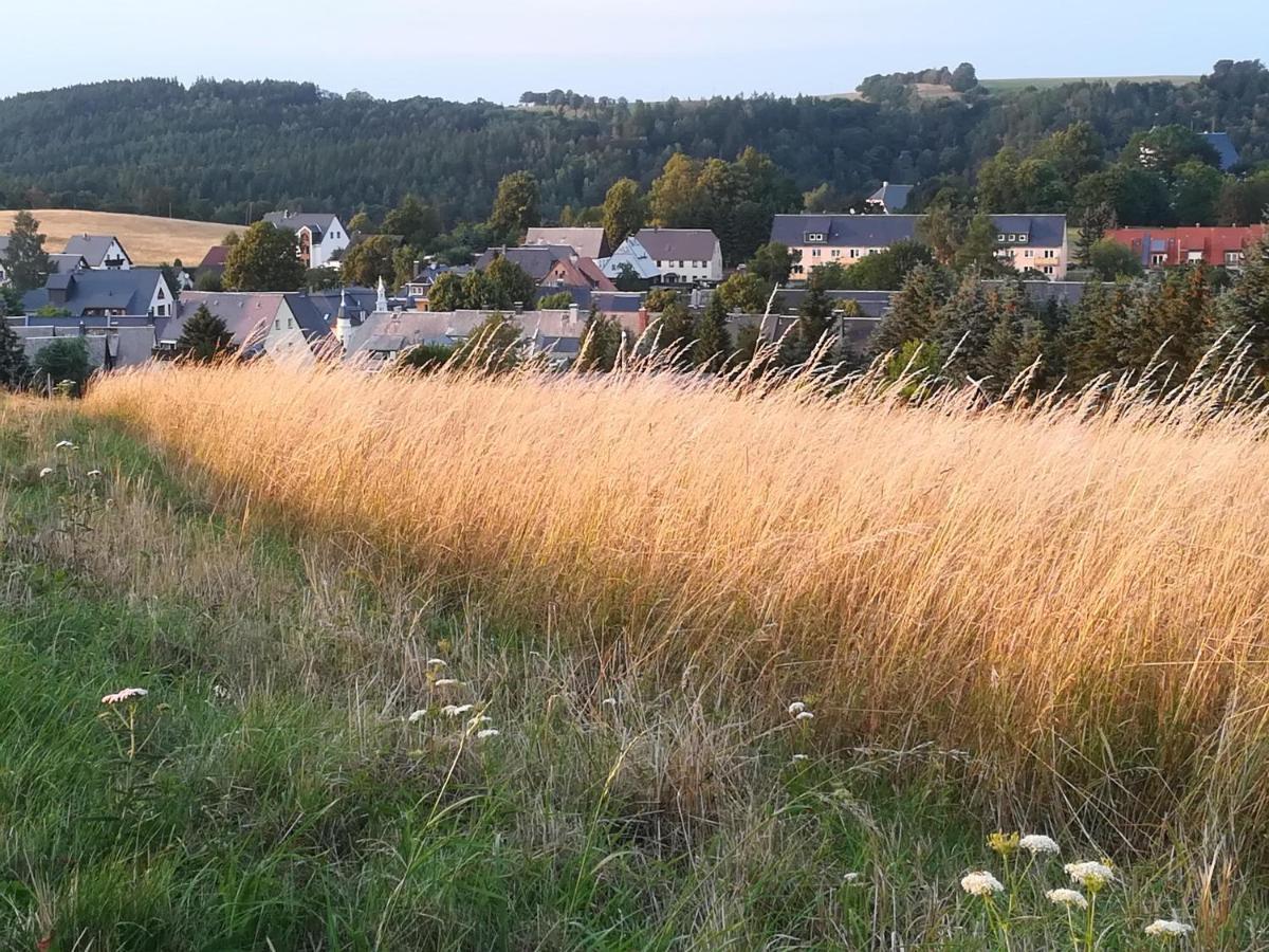 Ferienwohnung Rauscher Altenberg  Dış mekan fotoğraf